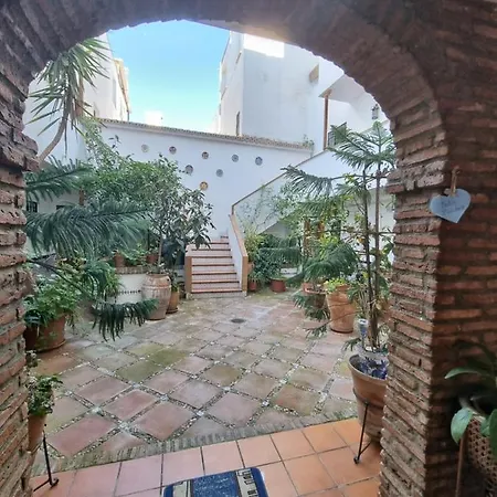 De Estreno En Patios Tipicos De San Basilio Cordoba